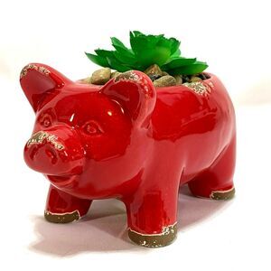 Red Pig Faux Succulent Plant Container Desk Mini Farmhouse Decor